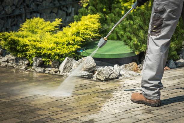 Best Factory Floor Cleaning  in Braska City, NE