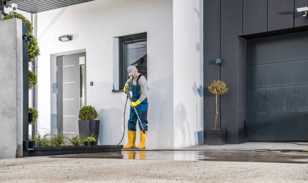 Best Fence Cleaning  in Braska City, NE